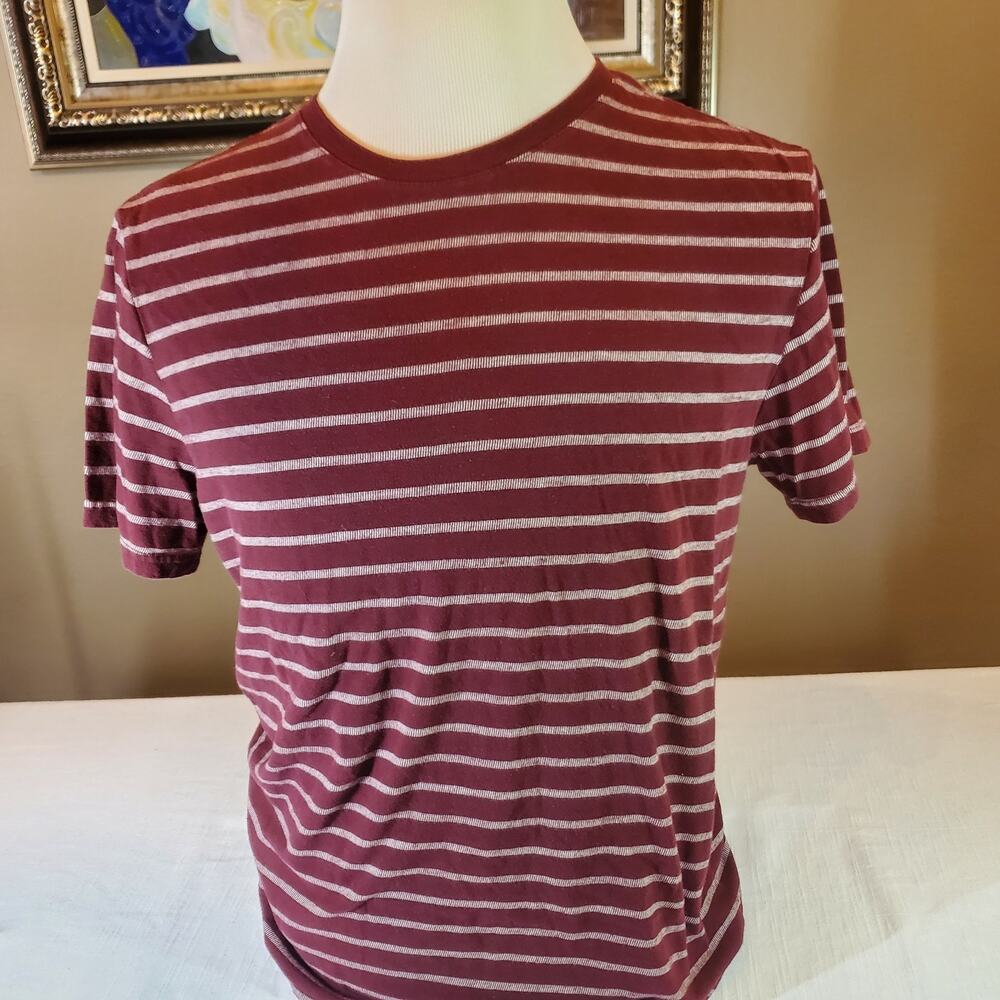 Goodfellow & Co Mens Medium Shirt Maroon Red Striped Short Sleeve Crew Neck Tee